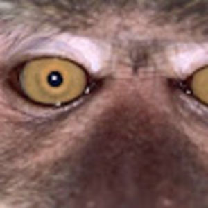 Meet your Posher, Cason